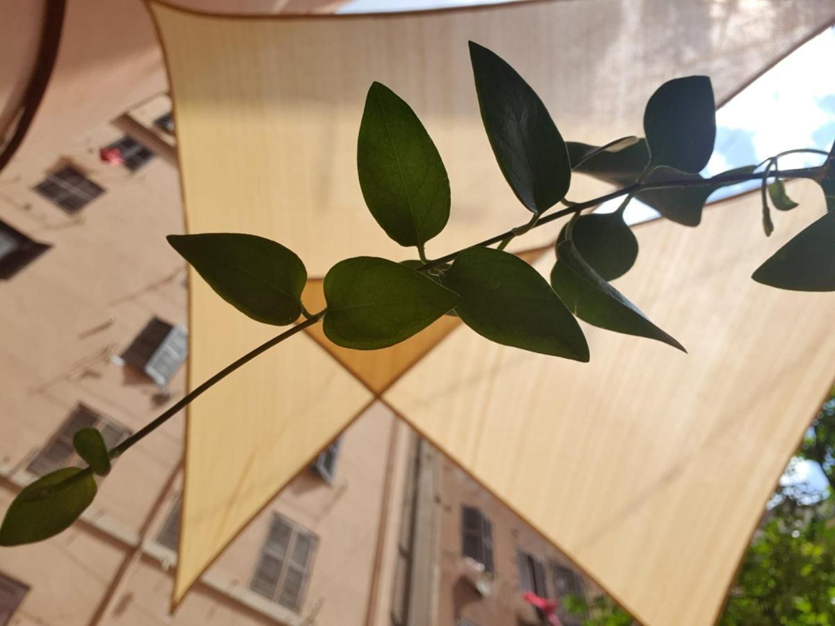 Lapo'S Apartment'S โรม ภายนอก รูปภาพ